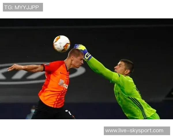 北京羽毛球队边路渗透创新策略解析与未来发展展望 北京羽毛球队边路渗透创新策略解析与未来发展展望